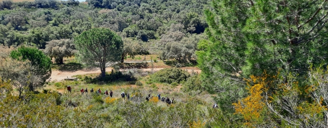 KALURA SUGHERETA NISCEMI TREKKING