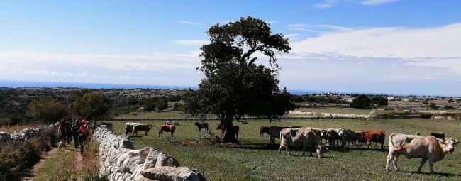 KALURA TREKKING MONTI IBLEI