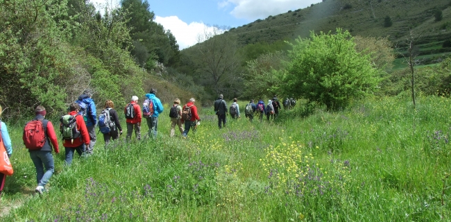 KALURA TREKKING IBLEI