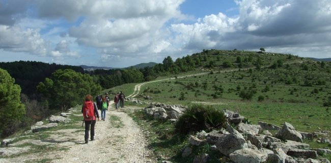 KALURA TREKKING MONTE CASASIA