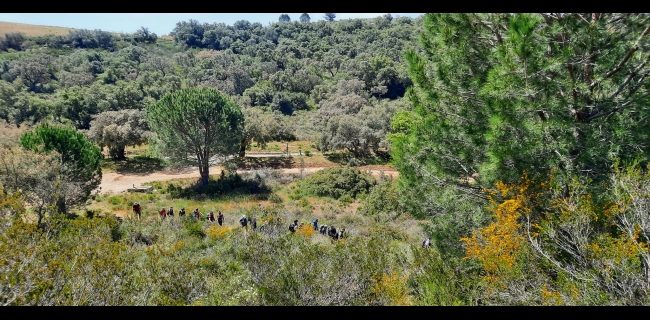 KALURA SUGHERETA NISCEMI TREKKING