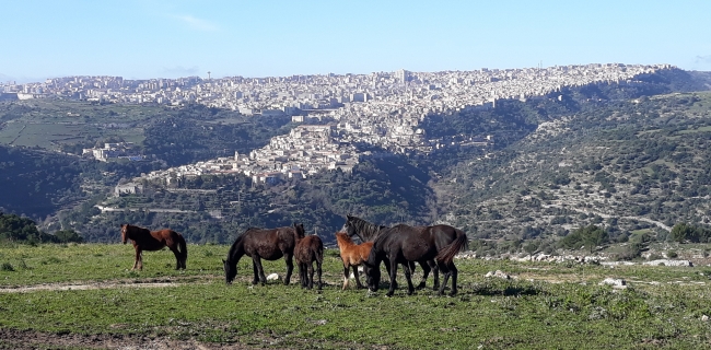 KALURA TREKKING IRMINIO